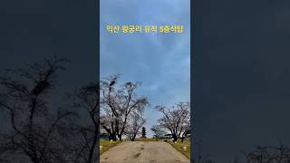 익산 왕궁리 유적 5층 석탑