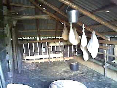 adrenalina SACEL MARAMURES