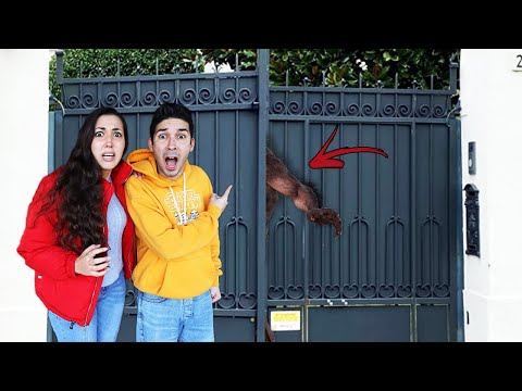 TROVIAMO LA CASA DEL LADRO MISTERIOSO CHE HA RUBATO LE NOSTRE COSE!