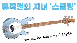 뮤직맨의 자녀 '스털링' (ray34, ray4리뷰) #낙원상가