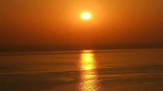 Simple Minds - New Gold Dream (81-82-83-84)