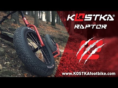 Introducing...KOSTKA RAPTOR!!