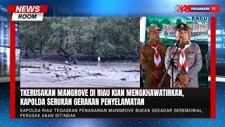 Kerusakan Mangrove Kian Parah, Kapolda Riau Ajak Masyarakat Selamatkan Pesisir
