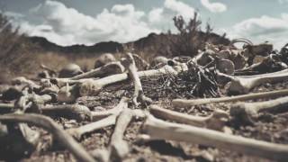 Dry Bones (Song by Lauren Daigle &amp; Video by Dan DiFelice)