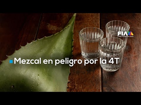 La ambición de la 4T está llevando a la quiebra a los productores de mezcal mexicano