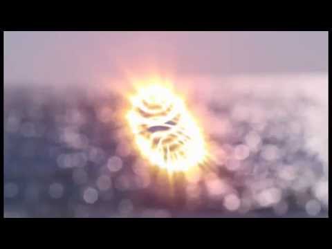 Collective Sound Members - Hot Summer Night