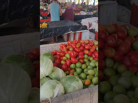 FEIRA DE SANTA INÊS BAHIA #shorts #feira #santainês #bahia #nordeste #cultura #turismo #cidade