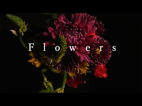 Flowers  part1 Shooting Macro　Video 4k【植物の接写】