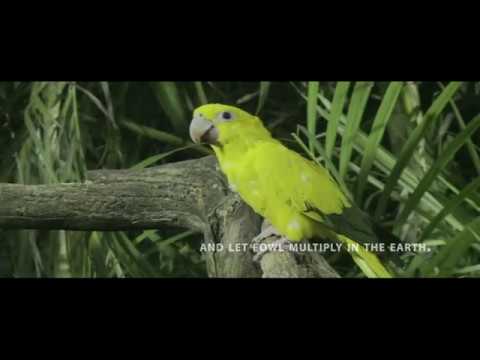 A Small Portion of the Infinite Wonders of GOD's Creation Part 1