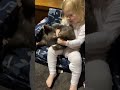 Putting Your Wombat To Bed Shorts Wombat Animalrescue