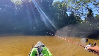 E SE FOSSE VOCÊ? AGUENTARIA PASSAR POR ISSO ? (Pesquei e cozinhei )