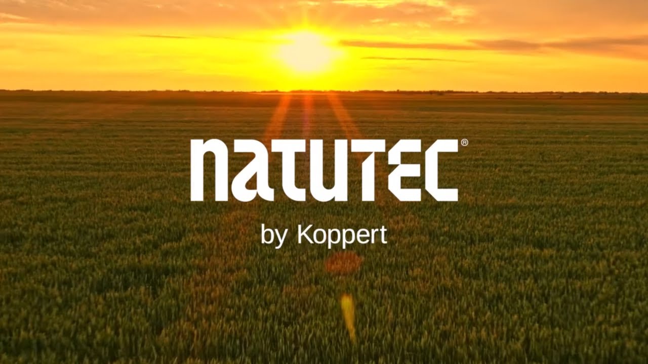 Video preview poster