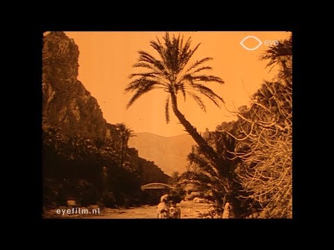 L'Oasis d'El-Kantara