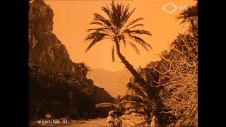 L'Oasis d'El-Kantara