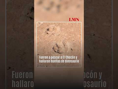 Fueron a pescar a El Chocón y hallaron huellas de dinosaurio