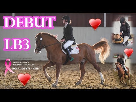 STEVNEVLOGG - Offisiell debut i LB //SHOW VLOG - Official debut in LB