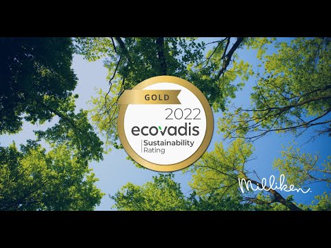 Management Audit Services