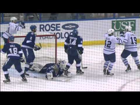 Maple Leafs @ Lightning 2011, November 22
