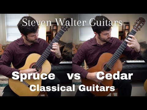 Evan Taucher and The Guitar Collection