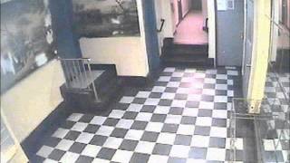 46 Pct - Robbery