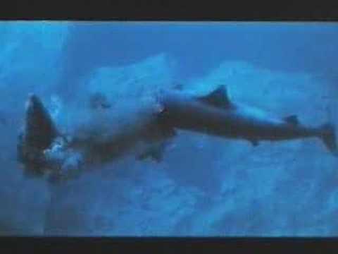 DER KAMPFGIGANT - DOUBLE TARGET - Deutscher Trailer