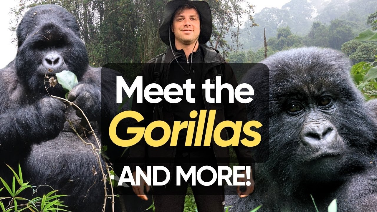 Insane Gorilla Trekking in Uganda - Bwindi and Mgahinga Parks (Ep. 2)