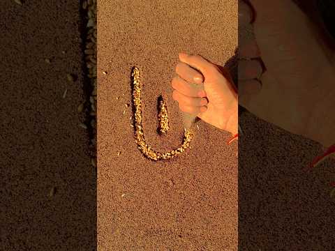 📛 Stress Melts Away Watching This Seed Art Creation 🌱🔥