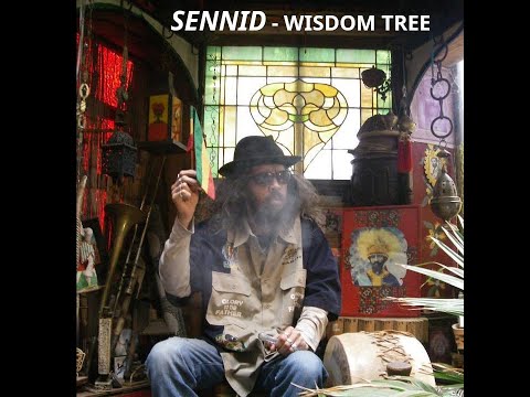Sennid - Wisdom Tree | FULL ALBUM ~ 2025