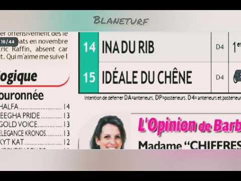 Geny Courses. Dimanche 01 Fev 2026