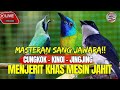 MASTERAN SANG JUWARA CUNGKOK KINOI JINGJING KHASSS MENJERIT LAYAKNYA MESIN JAHIT