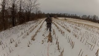preview picture of video 'Indiana Yote Hunt'