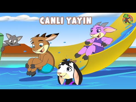Türkçe - Çizgi Film & Çocuk Masalları - CANLI YAYIN | KONDOSAN