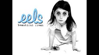 11 • Eels - Not Ready Yet  (Demo Length Version)