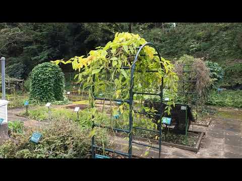 薬学科 キャンパス見学動画⑤