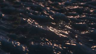 Musik-Video-Miniaturansicht zu Cold Water Songtext von Cut Copy