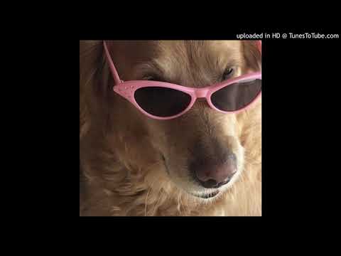 [FREE] $OHO BANI x 65Goonz Type Beat