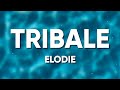 Elodie - TRIBALE (Testo/Lyrics)