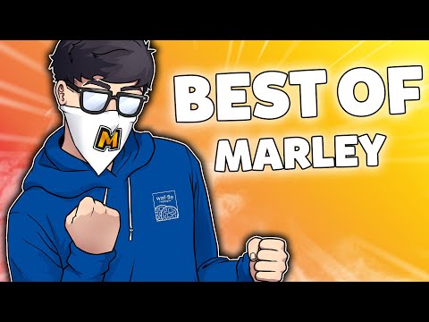 Marley's BEST OF 2020 (so far) - Rainbow Six Siege