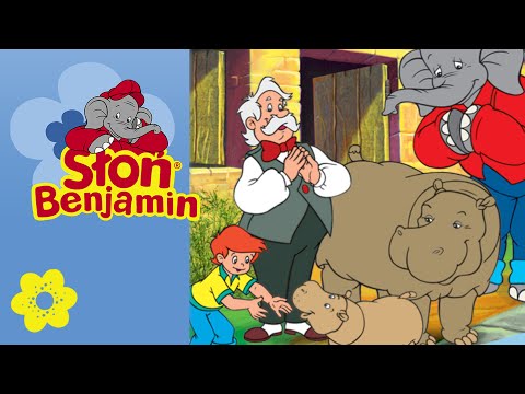 Słon Benjamin - Nowy mieszkaniec zoo po polsku - Full episode in Polish