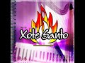 Xote Santo Pelo Sangue CD Vol 10