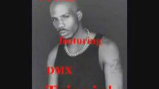 Total feat. DMX - Trippin&#39; RMX