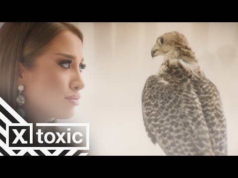 MILICA JOKIĆ - SOKOLE (OFFICIAL VIDEO)