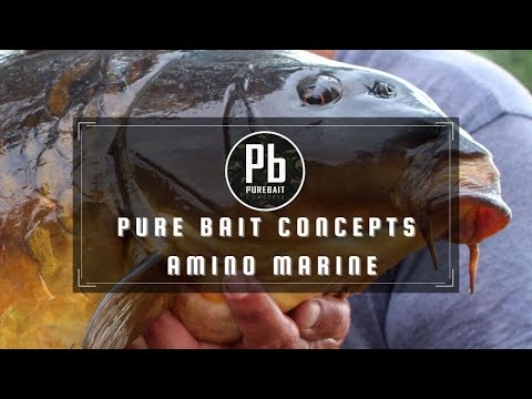 THE BEST BAIT FOR BIG CARP! (Amino Marine)