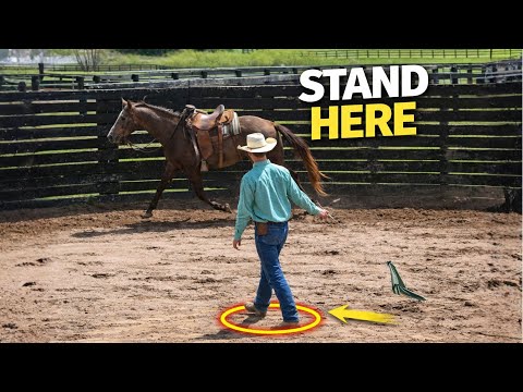 Colton Woods &mdash; How to Position Your Body in the Round Pen