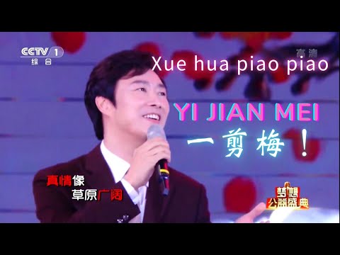 xue hua piao piao bei feng xiao xiao live  The voice of China YI JIAN MEI