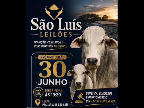 São Luís de Montes Belos - GO   30/06/2026