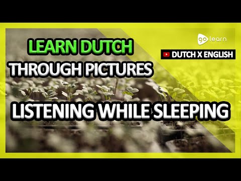 Learn Dutch Through Pictures |Dutch Vocabulary Listening While Sleeping | Golearn