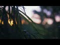 Kahin Door Jab Din Dhal Jaye Whatsapp Status Hd