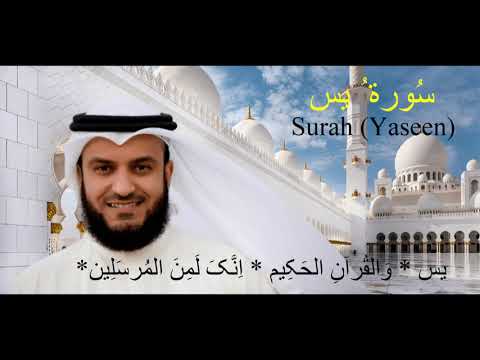 4 Surahs ( Surah Yasin, Rahman, Mulk and Waqia) ( Shaikh Mashari Bin Rashid )