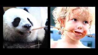 Animal Inside Out - We are all connected